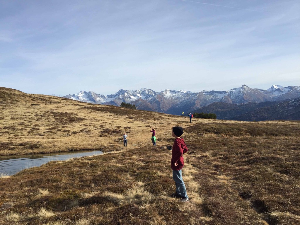 Zillertaler in weiss