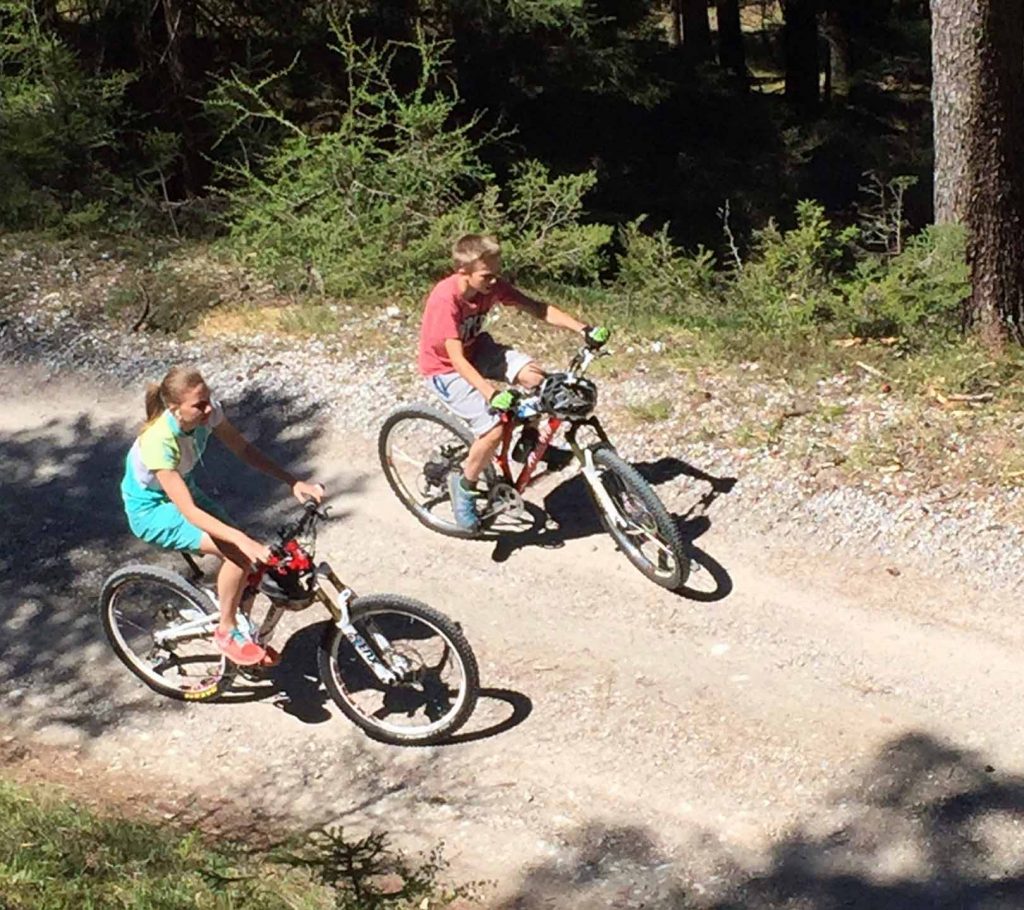 Ein Fully sollte es schon sein. 