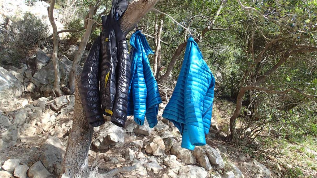 Alle bester Qualität, totgerupft, und im Moment zu warm