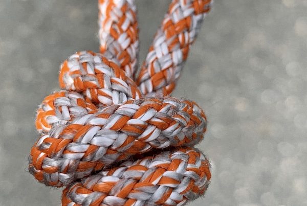 Petzl-Rad-Line-alpine-kompetenz