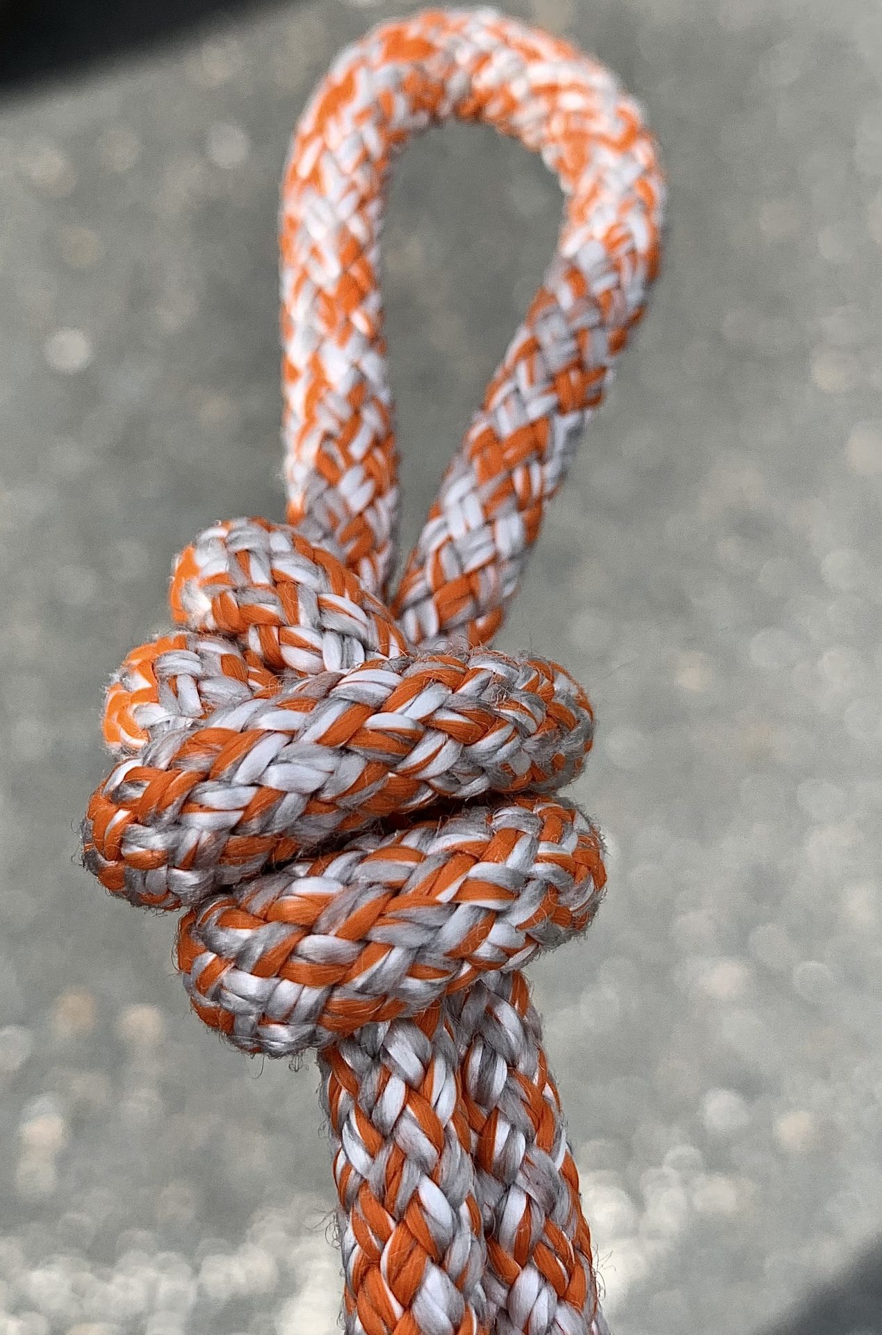 Dyneema und Kurzes Seil, 2022