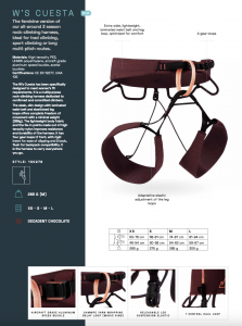 W`S-Cuesta-Blue Ice-Alpine-Kompetenz